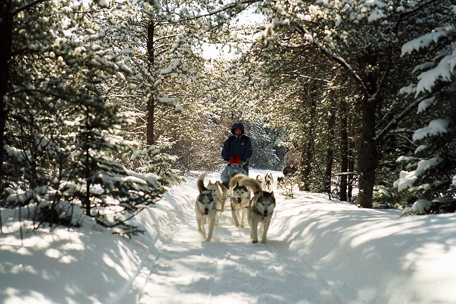 Voyage hiver au Canada motoneige et chien de traineau