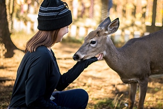 soin animaux 1